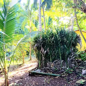 La Familia And Natural Farm 3* Port Antonio